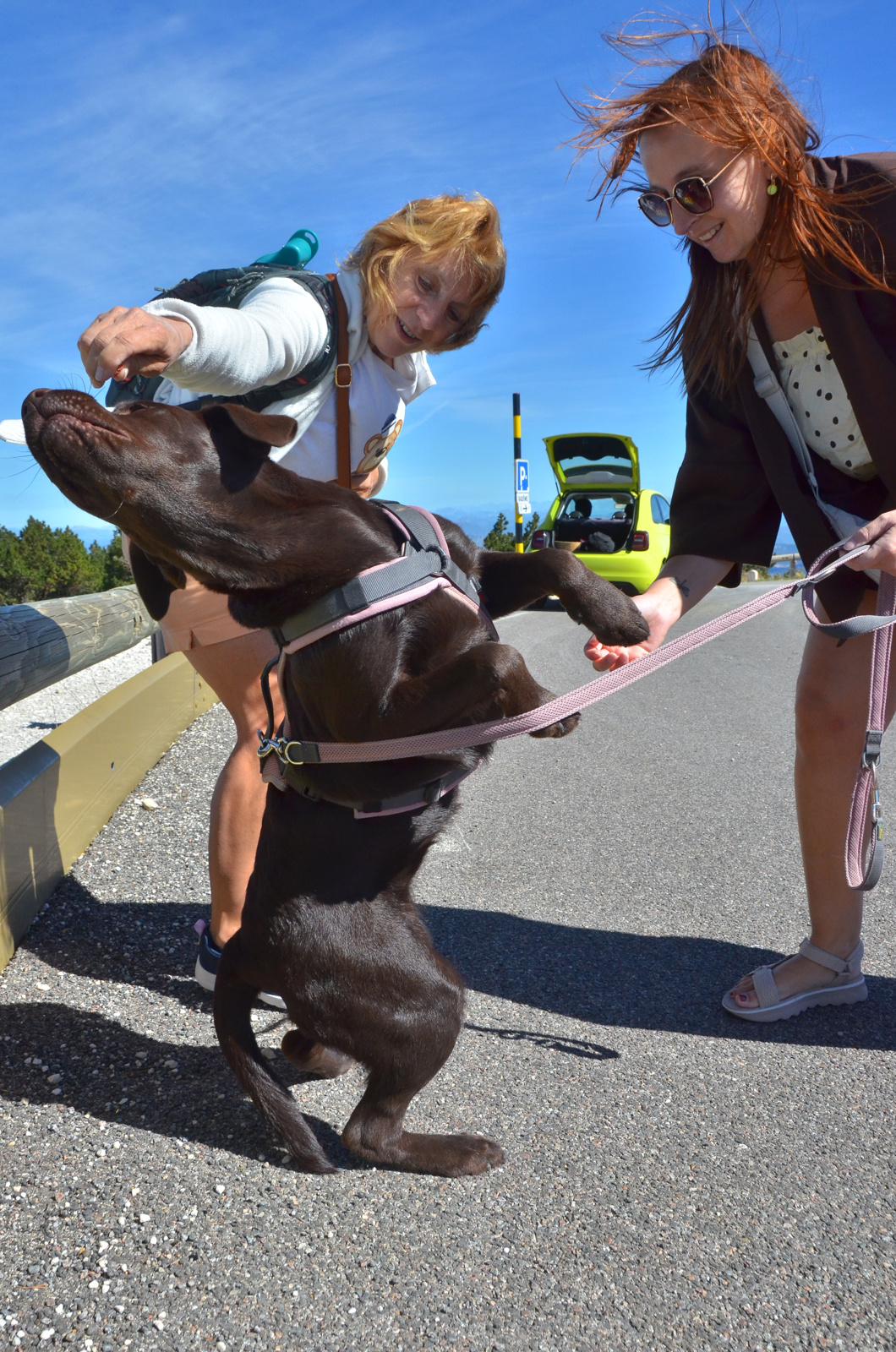 Un chien se dresse vers deux personnes dans un moment spontané.